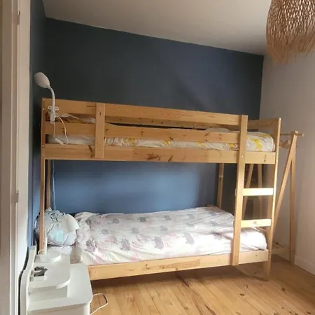 La Petite Maison Rose Au Centre D'albi Holiday home *