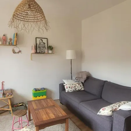 La Petite Maison Rose Au Centre D'albi Holiday home *